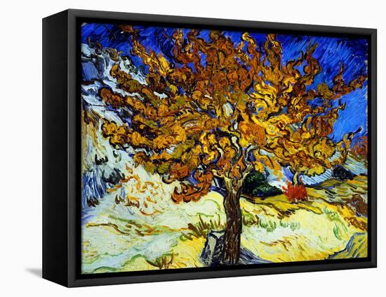 Mulberry Tree, c.1889-Vincent van Gogh-Framed Stretched Canvas