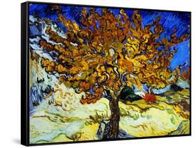 Mulberry Tree, c.1889-Vincent van Gogh-Framed Stretched Canvas