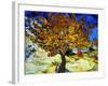 Mulberry Tree, c.1889-Vincent van Gogh-Framed Premium Giclee Print