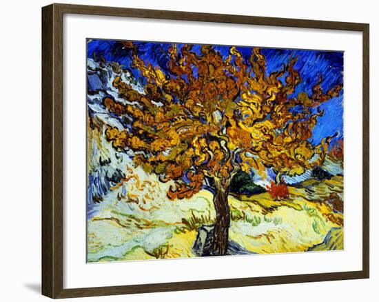 Mulberry Tree, c.1889-Vincent van Gogh-Framed Premium Giclee Print