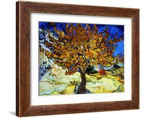 Mulberry Tree, c.1889-Vincent van Gogh-Framed Giclee Print