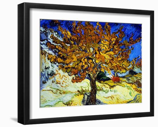 Mulberry Tree, c.1889-Vincent van Gogh-Framed Giclee Print