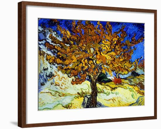 Mulberry Tree, c.1889-Vincent van Gogh-Framed Giclee Print