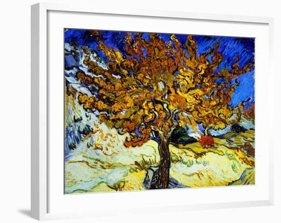 Mulberry Tree, c.1889-Vincent van Gogh-Framed Giclee Print