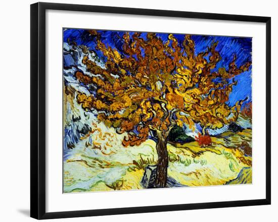 Mulberry Tree, c.1889-Vincent van Gogh-Framed Giclee Print