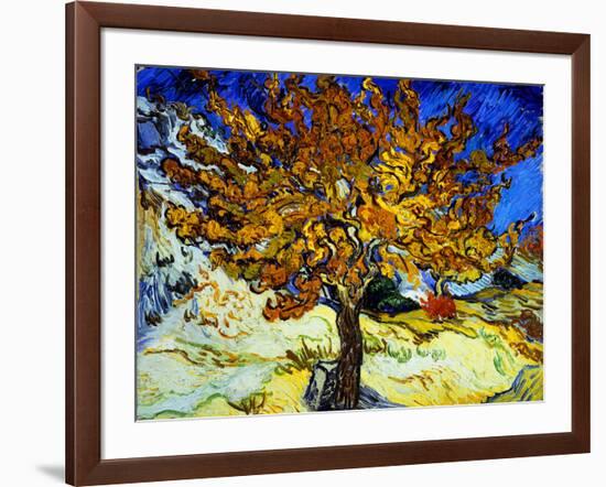 Mulberry Tree, c.1889-Vincent van Gogh-Framed Giclee Print