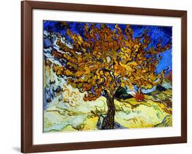 Mulberry Tree, c.1889-Vincent van Gogh-Framed Giclee Print