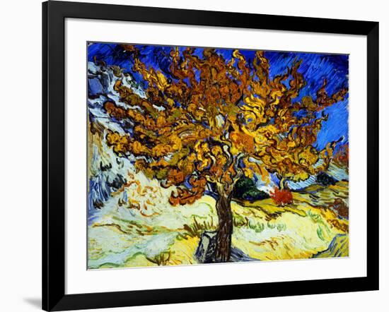 Mulberry Tree, c.1889-Vincent van Gogh-Framed Giclee Print