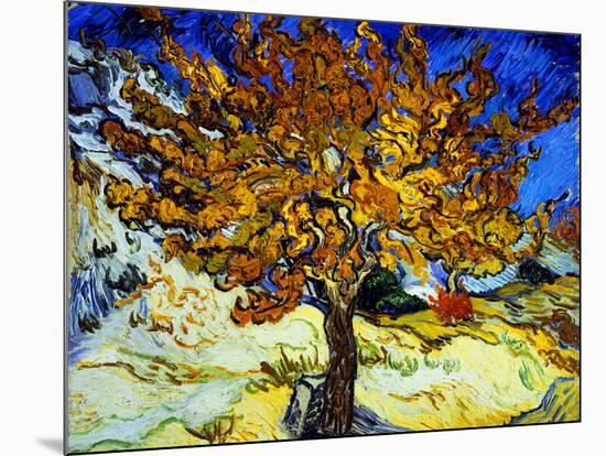 Mulberry Tree, c.1889-Vincent van Gogh-Mounted Giclee Print
