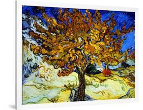 Mulberry Tree, c.1889-Vincent van Gogh-Framed Giclee Print