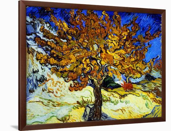 Mulberry Tree, c.1889-Vincent van Gogh-Framed Giclee Print