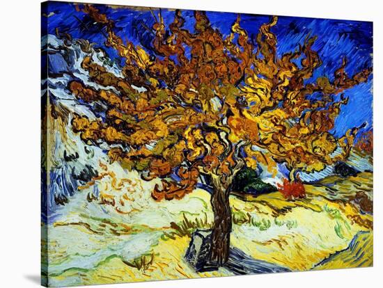 Mulberry Tree, c.1889-Vincent van Gogh-Stretched Canvas