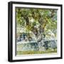 Mulberry-Raffaello Sorbi-Framed Giclee Print
