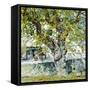 Mulberry-Raffaello Sorbi-Framed Stretched Canvas