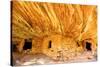Mule Canyons House on Fire Ruin, Anasazi Ruins, Cedar Mesa, Utah-Richard Wright-Stretched Canvas
