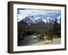 Mule Deer, Bow Valley Parkway by the Bow River, Near Lake Louise, Unesco World Heritage Site-Pearl Bucknall-Framed Photographic Print