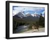 Mule Deer, Bow Valley Parkway by the Bow River, Near Lake Louise, Unesco World Heritage Site-Pearl Bucknall-Framed Photographic Print