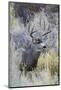 Mule deer buck, emerging from cover-Ken Archer-Mounted Photographic Print