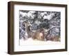 Mule Deer Mother and Fawn in Snow, Boulder, Colorado, United States of America, North America-James Gritz-Framed Photographic Print