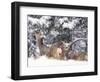 Mule Deer Mother and Fawn in Snow, Boulder, Colorado, United States of America, North America-James Gritz-Framed Photographic Print