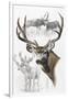 Mule Deer-Barbara Keith-Framed Giclee Print