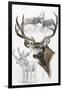 Mule Deer-Barbara Keith-Framed Giclee Print