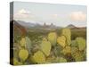 Mule Ears and Prickly Pear Cactus, Chisos Mountains, Big Bend National Park, Brewster Co., Texas, U-Larry Ditto-Stretched Canvas