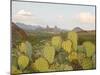 Mule Ears and Prickly Pear Cactus, Chisos Mountains, Big Bend National Park, Brewster Co., Texas, U-Larry Ditto-Mounted Photographic Print