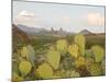 Mule Ears and Prickly Pear Cactus, Chisos Mountains, Big Bend National Park, Brewster Co., Texas, U-Larry Ditto-Mounted Photographic Print