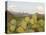 Mule Ears and Prickly Pear Cactus, Chisos Mountains, Big Bend National Park, Brewster Co., Texas, U-Larry Ditto-Stretched Canvas