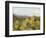 Mule Ears and Prickly Pear Cactus, Chisos Mountains, Big Bend National Park, Brewster Co., Texas, U-Larry Ditto-Framed Photographic Print