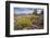 Mule Ears Formation and Wildflowers in Big Bend National Park-Larry Ditto-Framed Photographic Print