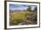 Mule Ears Formation and Wildflowers in Big Bend National Park-Larry Ditto-Framed Photographic Print