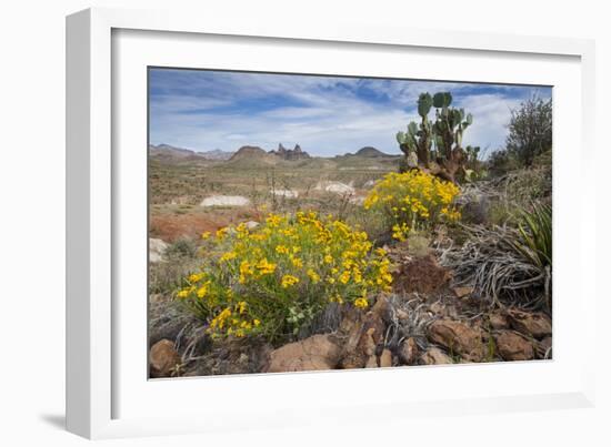 Mule Ears Formation and Wildflowers in Big Bend National Park-Larry Ditto-Framed Photographic Print