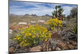 Mule Ears Formation and Wildflowers in Big Bend National Park-Larry Ditto-Mounted Photographic Print