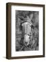 Mule in Hale County, Alabama, c.1936-Walker Evans-Framed Photographic Print