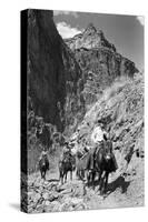 Mule Riders on Kaibab Trail-Philip Gendreau-Stretched Canvas