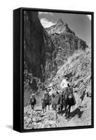 Mule Riders on Kaibab Trail-Philip Gendreau-Framed Stretched Canvas