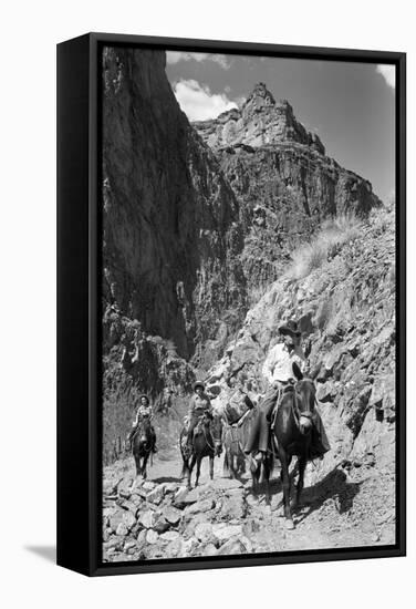 Mule Riders on Kaibab Trail-Philip Gendreau-Framed Stretched Canvas