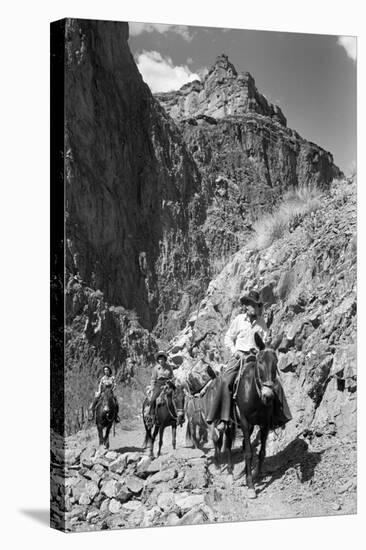 Mule Riders on Kaibab Trail-Philip Gendreau-Stretched Canvas