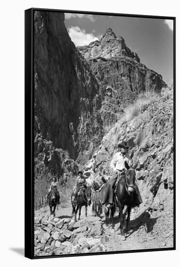 Mule Riders on Kaibab Trail-Philip Gendreau-Framed Stretched Canvas