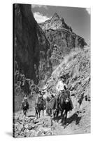 Mule Riders on Kaibab Trail-Philip Gendreau-Stretched Canvas