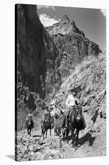 Mule Riders on Kaibab Trail-Philip Gendreau-Stretched Canvas
