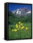 Mule's Ears, Maroon Bells, CO-David Carriere-Framed Stretched Canvas