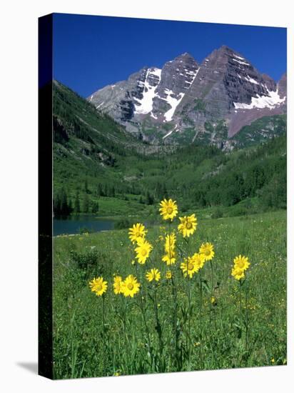 Mule's Ears, Maroon Bells, CO-David Carriere-Stretched Canvas