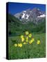 Mule's Ears, Maroon Bells, CO-David Carriere-Stretched Canvas