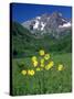 Mule's Ears, Maroon Bells, CO-David Carriere-Stretched Canvas