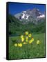 Mule's Ears, Maroon Bells, CO-David Carriere-Framed Stretched Canvas