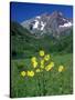 Mule's Ears, Maroon Bells, CO-David Carriere-Stretched Canvas