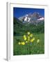 Mule's Ears, Maroon Bells, CO-David Carriere-Framed Premium Photographic Print